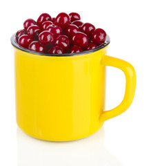 Sweet cherry in cup isolated on white