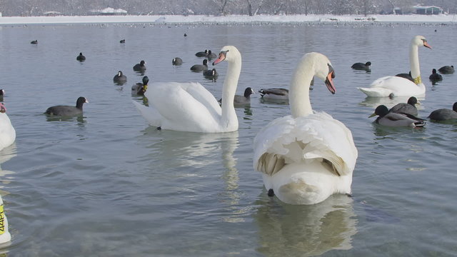 zagreb, jarun lake