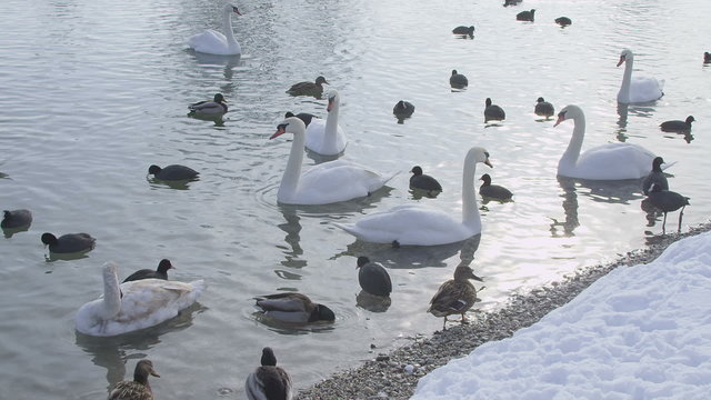 zagreb, jarun lake