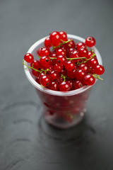 Plastic cup with fresh red currant, vertical shot