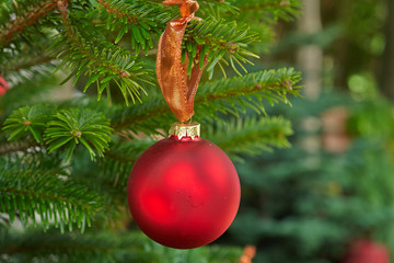 Christmas decoration balls on a tree