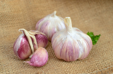 garlic