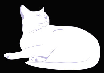 White cat