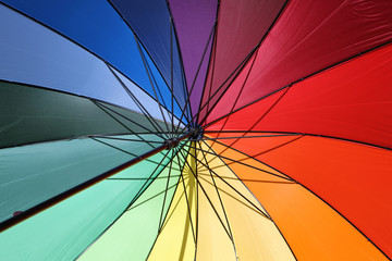 bunt