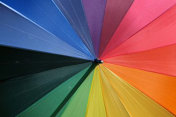 bunt