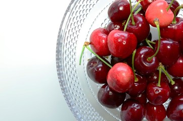 アメリカンチェリー