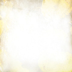 Old paper texture with rowan