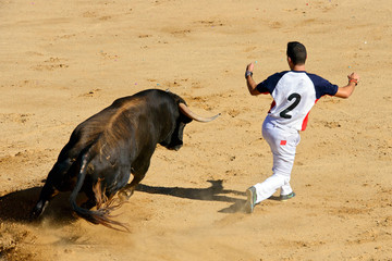 Concurso Taurino De Recortes En España