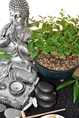 Fototapeta premium buddha statue