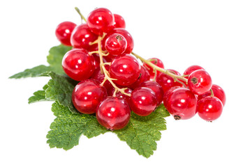 Isolated red Berries