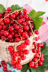 Heap of Red Currants