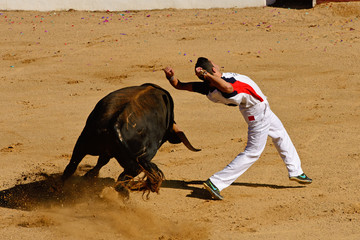 Concurso Taurino De Recortes En España