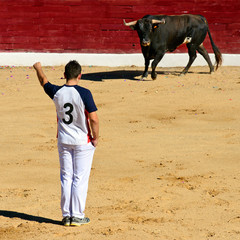 Concurso Taurino De Recortes En España