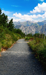 Der weite Weg über die Alpen