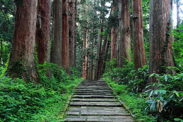 羽黒山参道杉並木