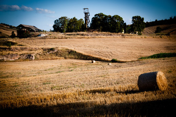 Miniera