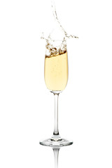 Splashing Champagne - 55468866