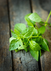 Fresh basil on the wooden table