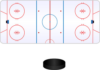 Hockey pole