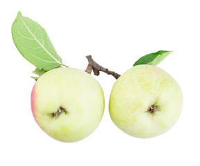 two apples