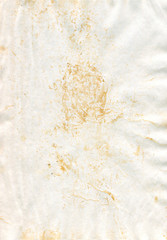 Spots on white background.