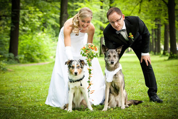 Hunde mit Eltern