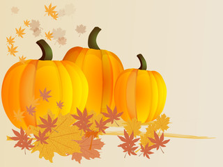 Pumpkins with leaves. Autumn background. Vector.