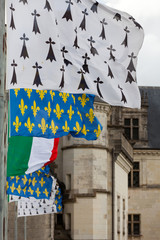 Amboise castle .Valley of the river Loire. France