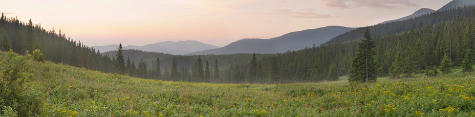early morning in the Carpathian mountains