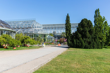 Fototapeta na wymiar Big greenhouse in the botanical garden of Berlin