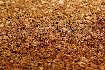 Cork texture