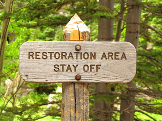 Restoration area stay off sign in forest