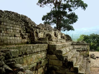 Acrylic prints Rudnes mayan architecture and copan ruins in Honduras