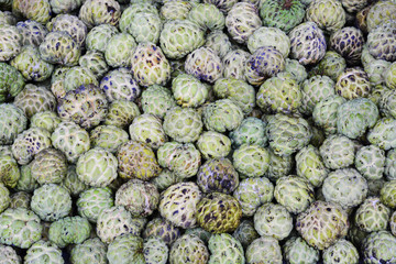 Fototapeta premium Custard apple texture fruit