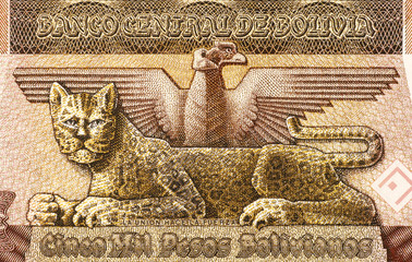 Condor and Leopard
