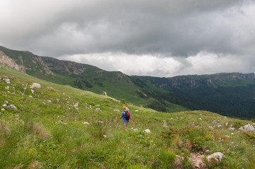 Fototapeta na wymiar The magnificent mountain scenery of the Caucasus Nature Reserve
