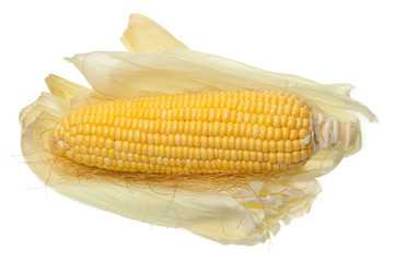 Corn with water droplets on white background