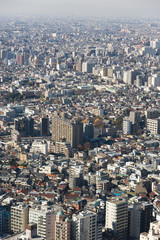 Fototapeta premium 東京の街並み