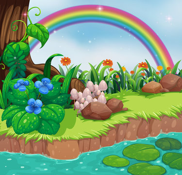 A riverbank with flowers and a rainbow