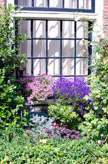 Fototapeta na wymiar Blumen vor dem Fenster