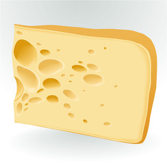 Piece of cheese on white. Vector.
