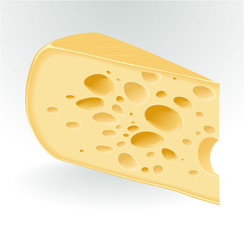 Piece of cheese on white. Vector.
