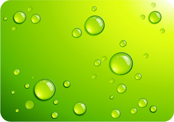 Clear green water drops. Vector background.