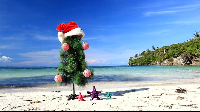 New year tree on caribbean beach