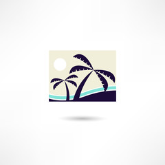 palm icon