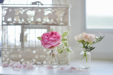 Pink roses in small vases