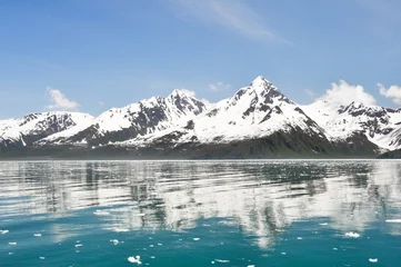 Foto op Plexiglas Aialik bay, Kenai Fjords National Park, (Alaska) © Noradoa