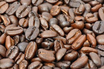 closeup of roasted coffee beans