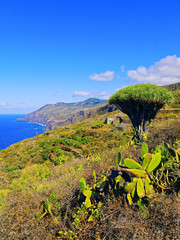 Fototapeta na wymiar La Palma, Canary Islands