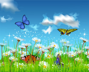 butterflies flying in the field of daisies